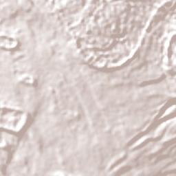 Kabupaten Muna Terrain Map