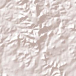 São Francisco do Brejão Terrain Map