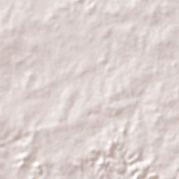 Coivaras Terrain Map