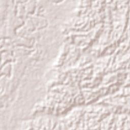 Jutaí Terrain Map