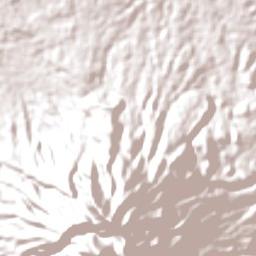 Kabupaten Pesawaran Terrain Map