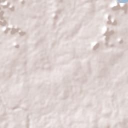 Beneditinos Terrain Map