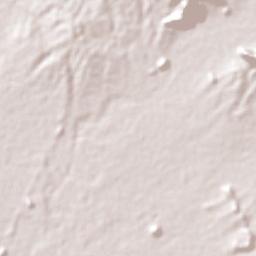 Pueblo Nuevo Terrain Map