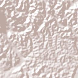 Provincia de Moyobamba Terrain Map