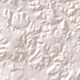 Palmeirais Terrain Map