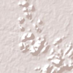 Fernando Pedroza Terrain Map