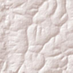 Lagoa do Mato Terrain Map