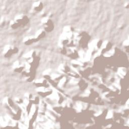 Triunfo Potiguar Terrain Map