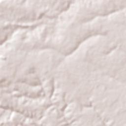 São Gonçalo do Piauí Terrain Map