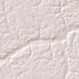 Tapauá Terrain Map