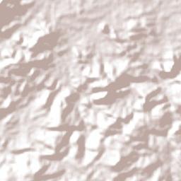 Frutuoso Gomes Terrain Map