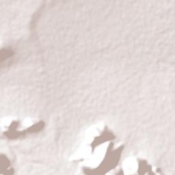 Kongwa Terrain Map
