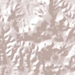 São Francisco do Maranhão Terrain Map