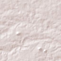 Serrinha Terrain Map