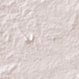 São Bento Terrain Map