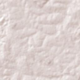 Muricilândia Terrain Map