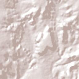 Dom Expedito Lopes Terrain Map