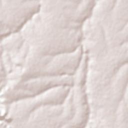 Marcos Parente Terrain Map