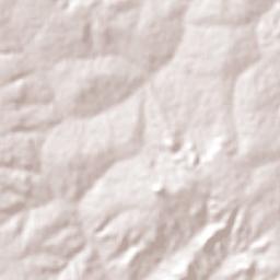 Vila Nova do Piauí Terrain Map