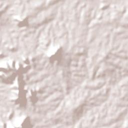 Caldas Brandão Terrain Map