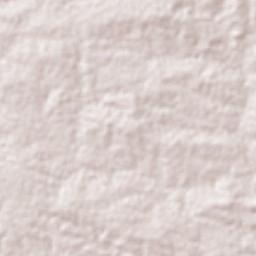 Boa Vista Terrain Map