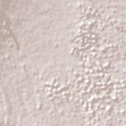 Singaparna Terrain Map