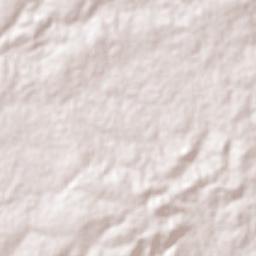 Padre Marcos Terrain Map