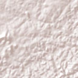 Ferreiros Terrain Map