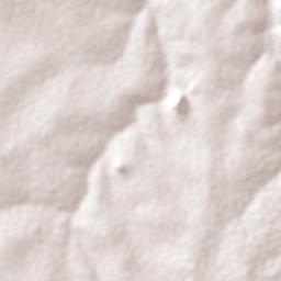 Namanyere Terrain Map