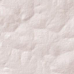 Isaías Coelho Terrain Map