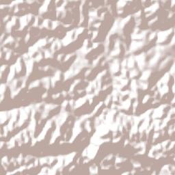 São Vicente Férrer Terrain Map