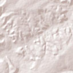 Flores do Piauí Terrain Map