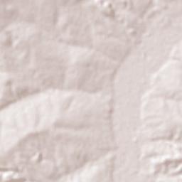 Bertolínia Terrain Map