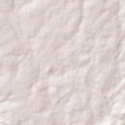 Trindade Terrain Map
