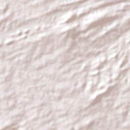 Barra de São Miguel Terrain Map