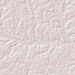 Rodrigues Alves Terrain Map