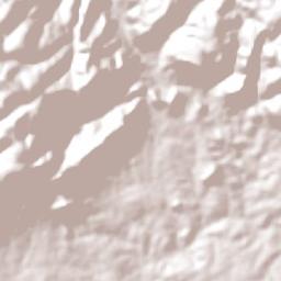 Flores Terrain Map