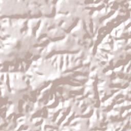 Abreu e Lima Terrain Map