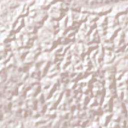 Lagoa do Itaenga Terrain Map