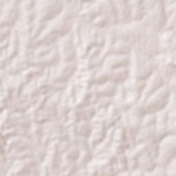 Bernardo Sayão Terrain Map