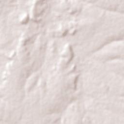 Pedro Laurentino Terrain Map