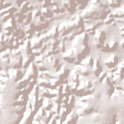 Tasso Fragoso Terrain Map