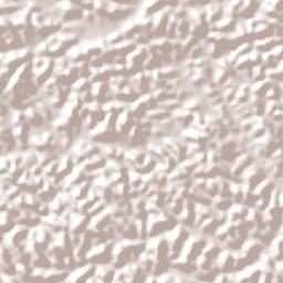Cabo de Santo Agostinho Terrain Map
