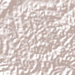 Camocim de São Félix Terrain Map