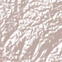 Barra de Guabiraba Terrain Map