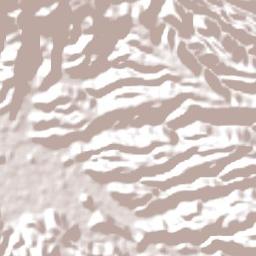 Kota Bima Terrain Map