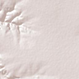 Palmeira do Piauí Terrain Map