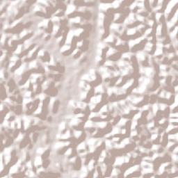 Ribeirão Terrain Map