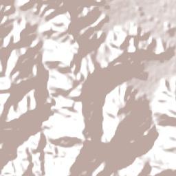 Kabupaten Bima Terrain Map