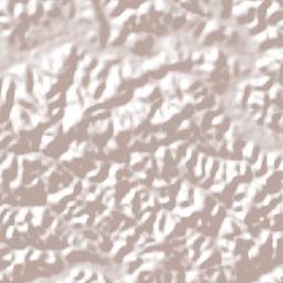 Água Preta Terrain Map
